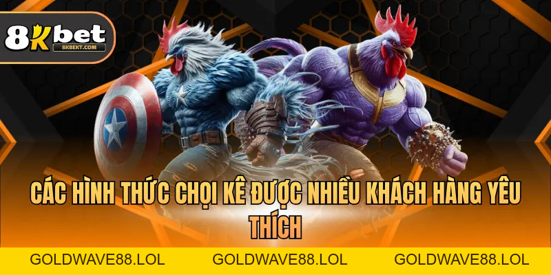Đá Gà Thomo – Hình Thức Giải Trí  Hấp Dẫn Nhất 2026