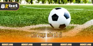 8KBET - TRANG CHÍNH THỨC 8KBET.COM THỂ THAO NỔ HŨ BẮN CÁ ĐĂNG KÝ ĐĂNG NHẬP