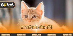8KBET - TRANG CHÍNH THỨC 8KBET.COM THỂ THAO NỔ HŨ BẮN CÁ ĐĂNG KÝ ĐĂNG NHẬP