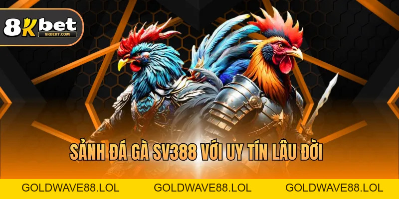 Đá Gà 8KBET - Đấu Trường Gà Chọi Trực Tuyến Hấp Dẫn