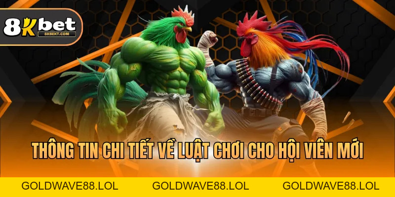 Đá Gà Thomo – Hình Thức Giải Trí  Hấp Dẫn Nhất 2026