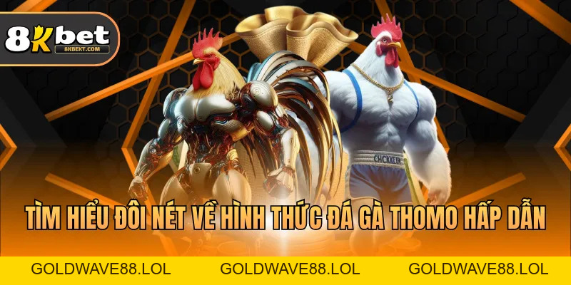 Đá Gà Thomo – Hình Thức Giải Trí  Hấp Dẫn Nhất 2026