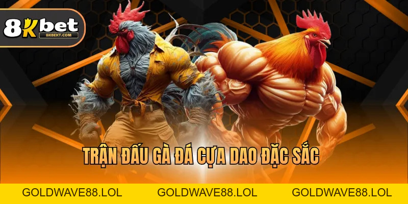 Đá Gà 8KBET - Đấu Trường Gà Chọi Trực Tuyến Hấp Dẫn