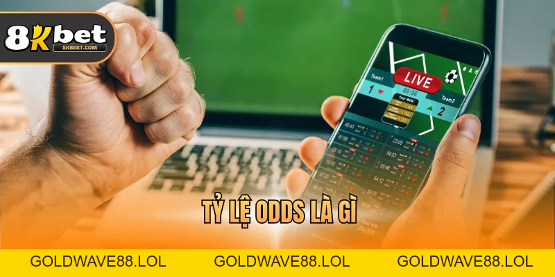 Tỷ Lệ Odds Là Gì - Định Nghĩa & Vai Trò Trong Cá Độ
